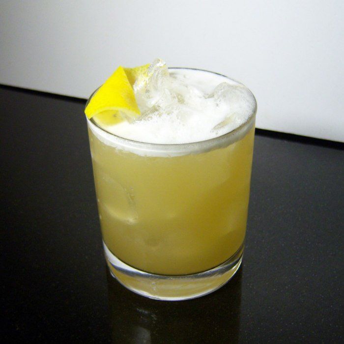 Cocktail Boston Sour