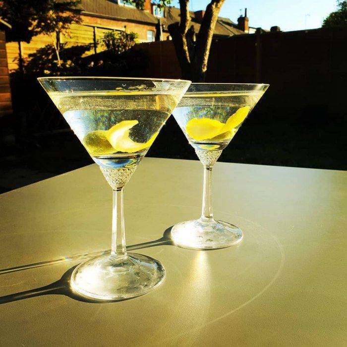 Cocktail Dry Martini